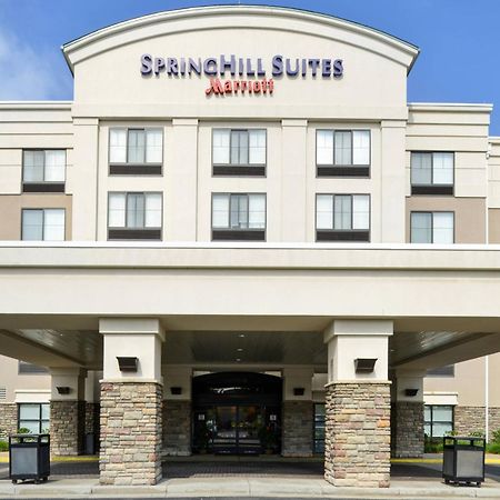 Springhill Suites Pittsburgh Mills Tarentum Екстериор снимка